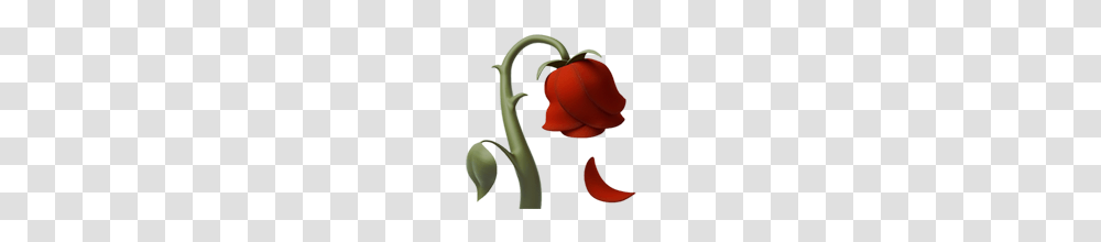 Rose Emoji, Plant, Petal, Flower, Blossom Transparent Png
