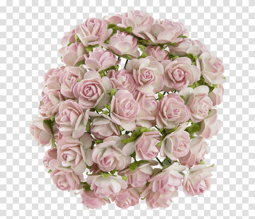 Rose Falling, Plant, Flower, Blossom, Flower Bouquet Transparent Png