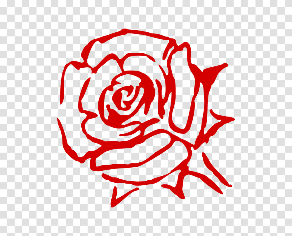 Rose Family Flower China Rose Garden Roses Cabbage Rose Free, Logo, Trademark, Plant Transparent Png