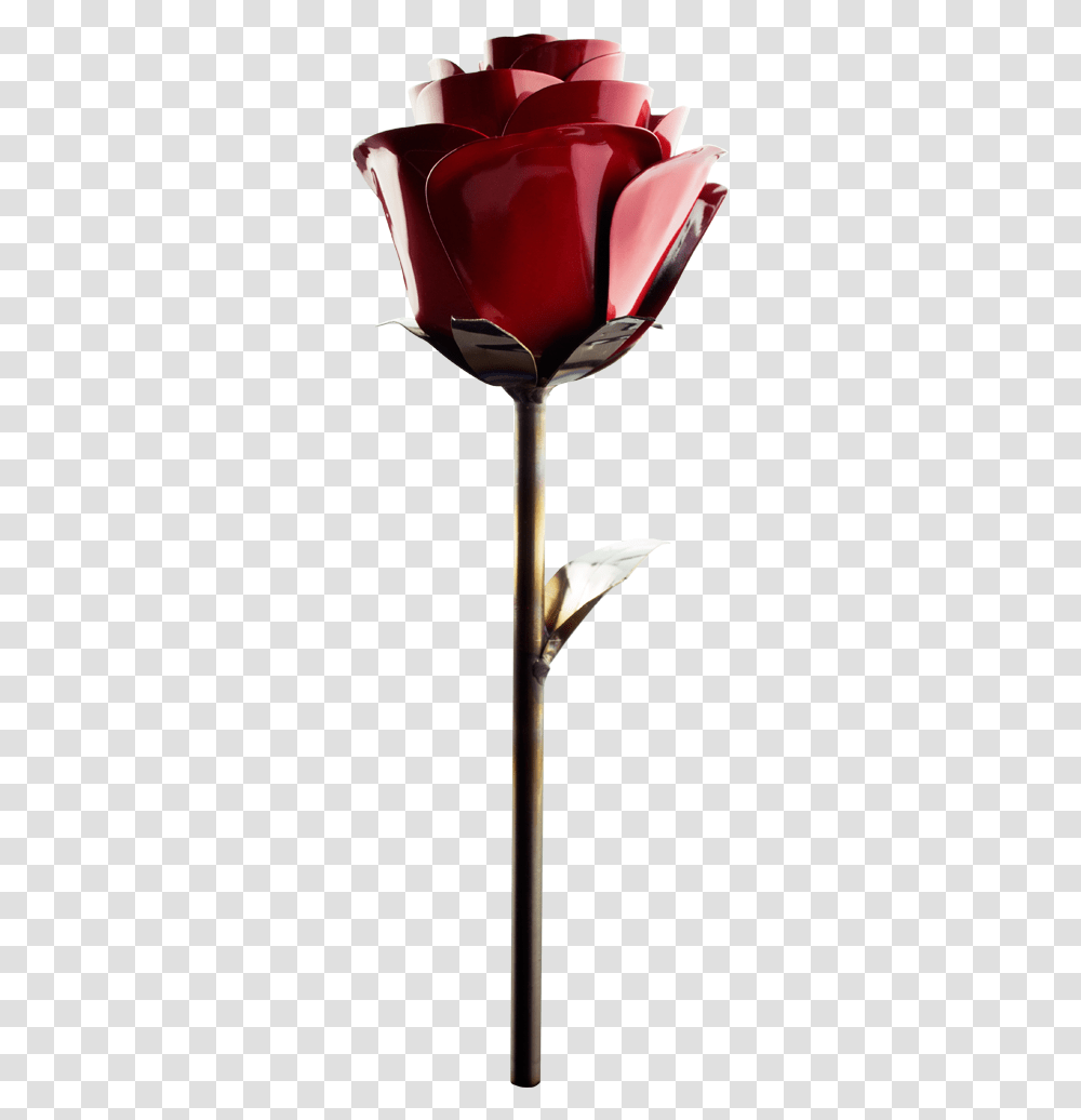 Rose Fire Flower, Plant, Petal, Machine, Tulip Transparent Png