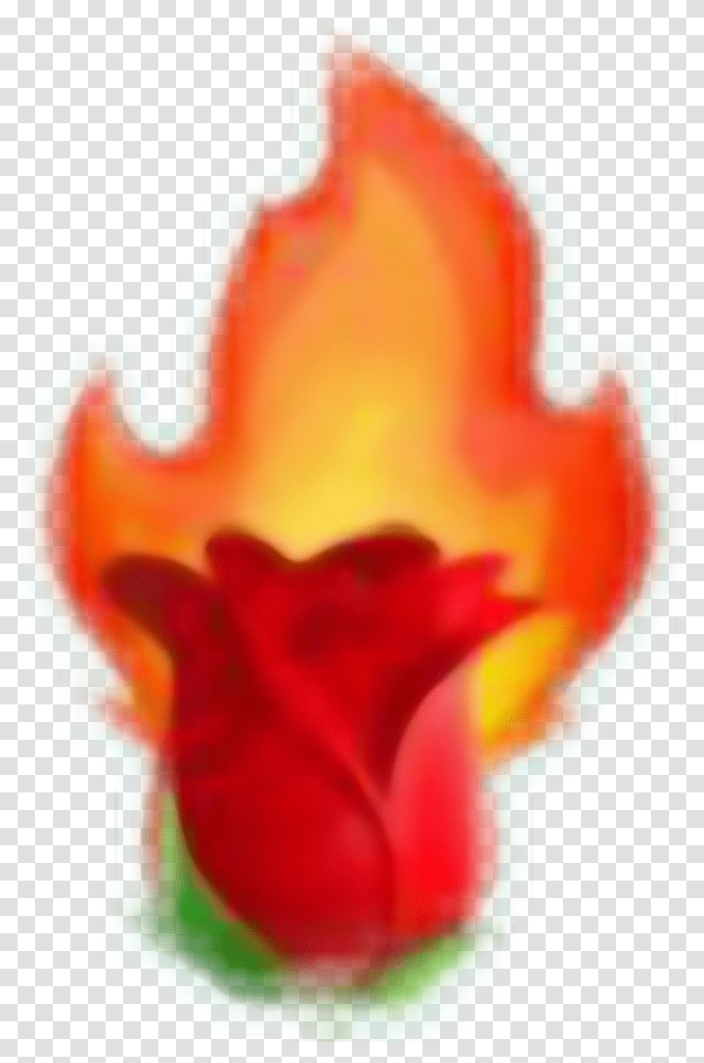 Rose Fire Tumblr Aesthetic Aestheticred Red Emojis Aesthetic Red Emojis, Flower, Plant, Blossom, Flame Transparent Png