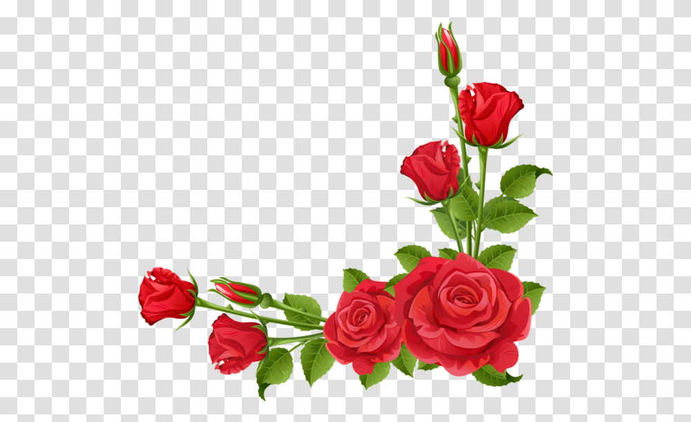 Rose Floral Design Garden Roses Flower Asma Ul Husna Ka Wazifa In Urdu, Plant, Blossom, Flower Bouquet, Flower Arrangement Transparent Png