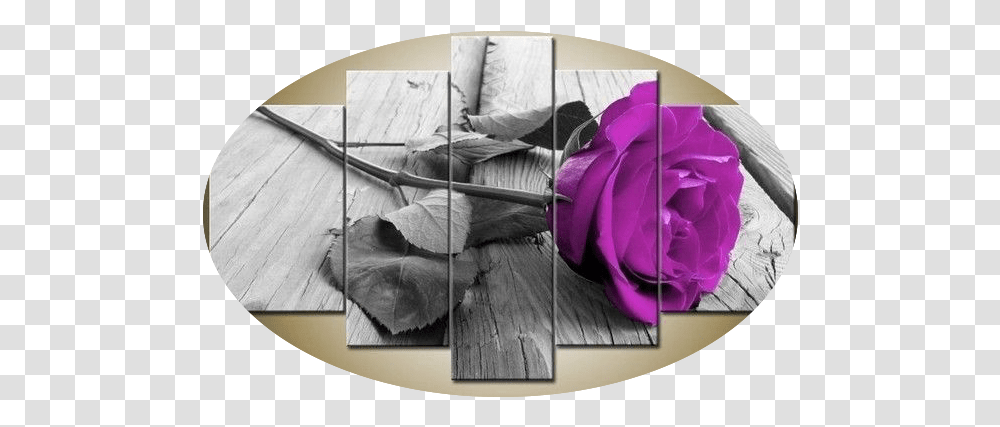 Rose Flower 5 Piece Wall Art Free Global Shipping & Framed Romantic Hot Red Roses, Paper, Plant, Blossom, Origami Transparent Png