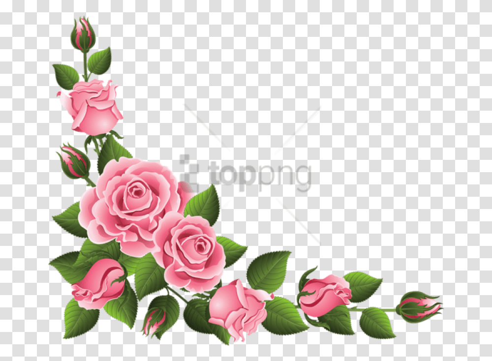 Rose Flower Border, Plant, Blossom, Floral Design, Pattern Transparent Png