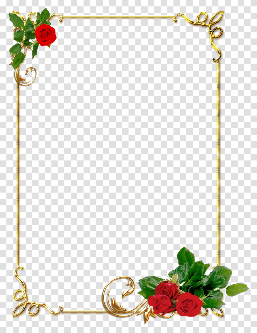 Rose Flower Border, Plant, Bow, Outdoors, Lamp Transparent Png
