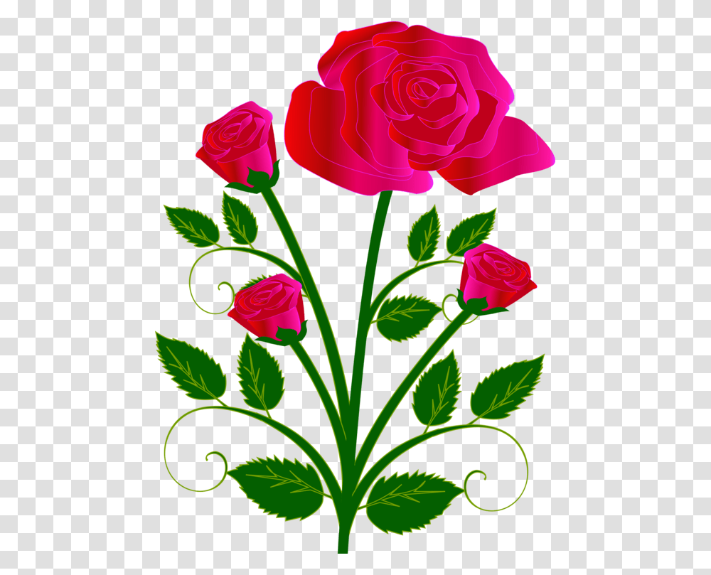 Rose Flower Bouquet Drawing Red, Plant, Blossom, Petal, Carnation Transparent Png