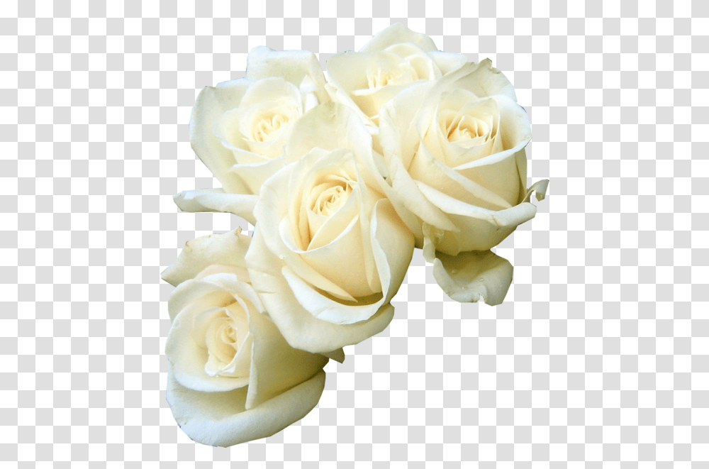 Rose Flower Bouquet White Clip Art White Roses Background, Plant, Blossom, Petal, Flower Arrangement Transparent Png