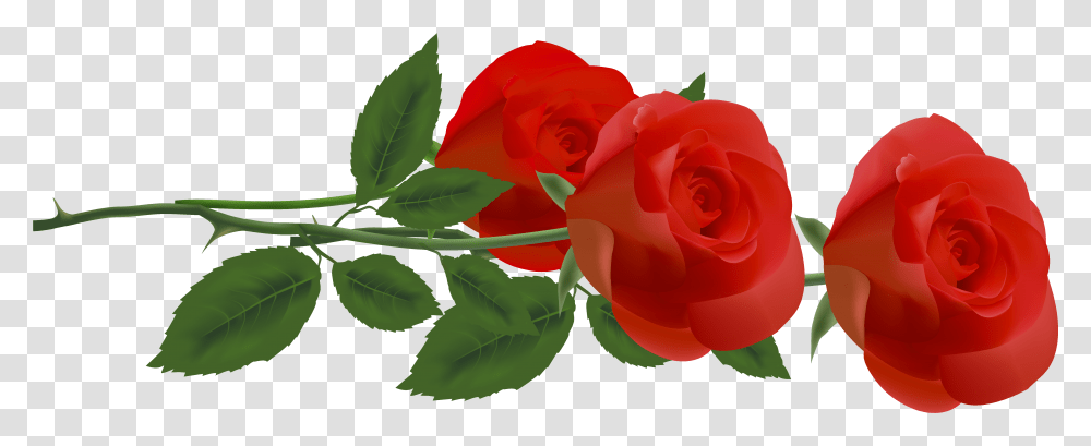 Rose Flower Clip Art Clip Art, Plant, Blossom, Leaf, Petal Transparent Png