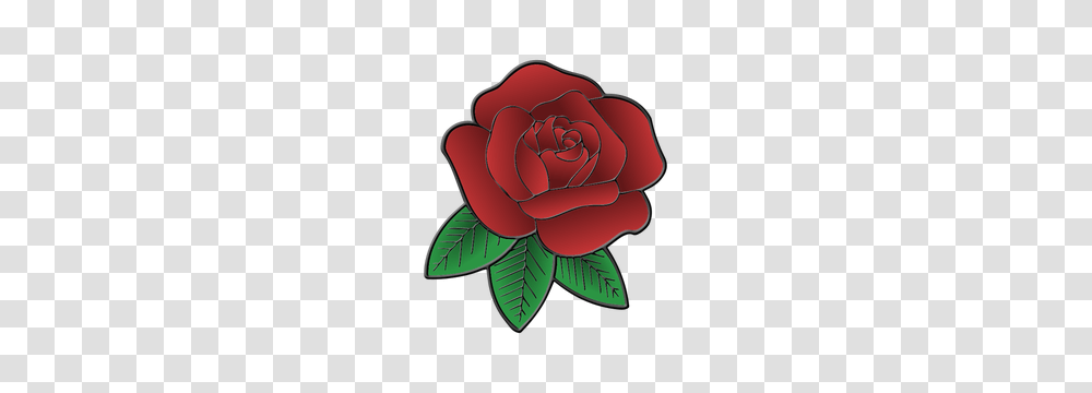 Rose Flower Clip Art Free, Plant, Blossom, Dahlia, Petal Transparent Png