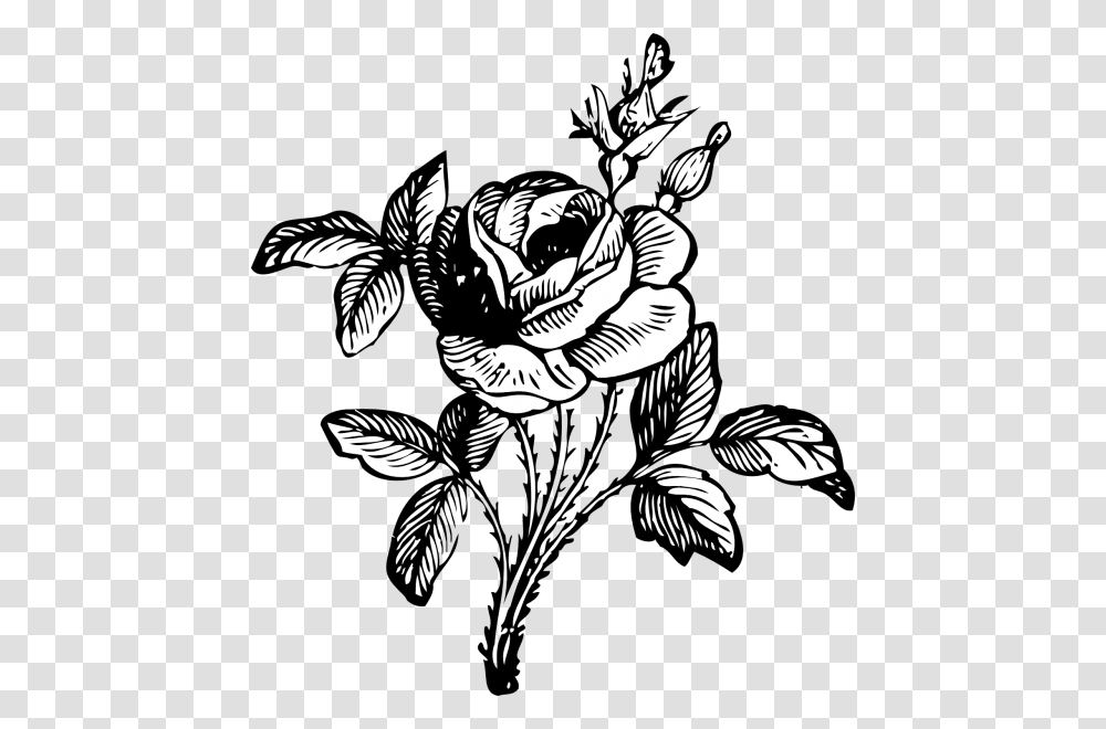 Rose Flower Clipart Black And White Nice Clip Art, Floral Design, Pattern, Person Transparent Png
