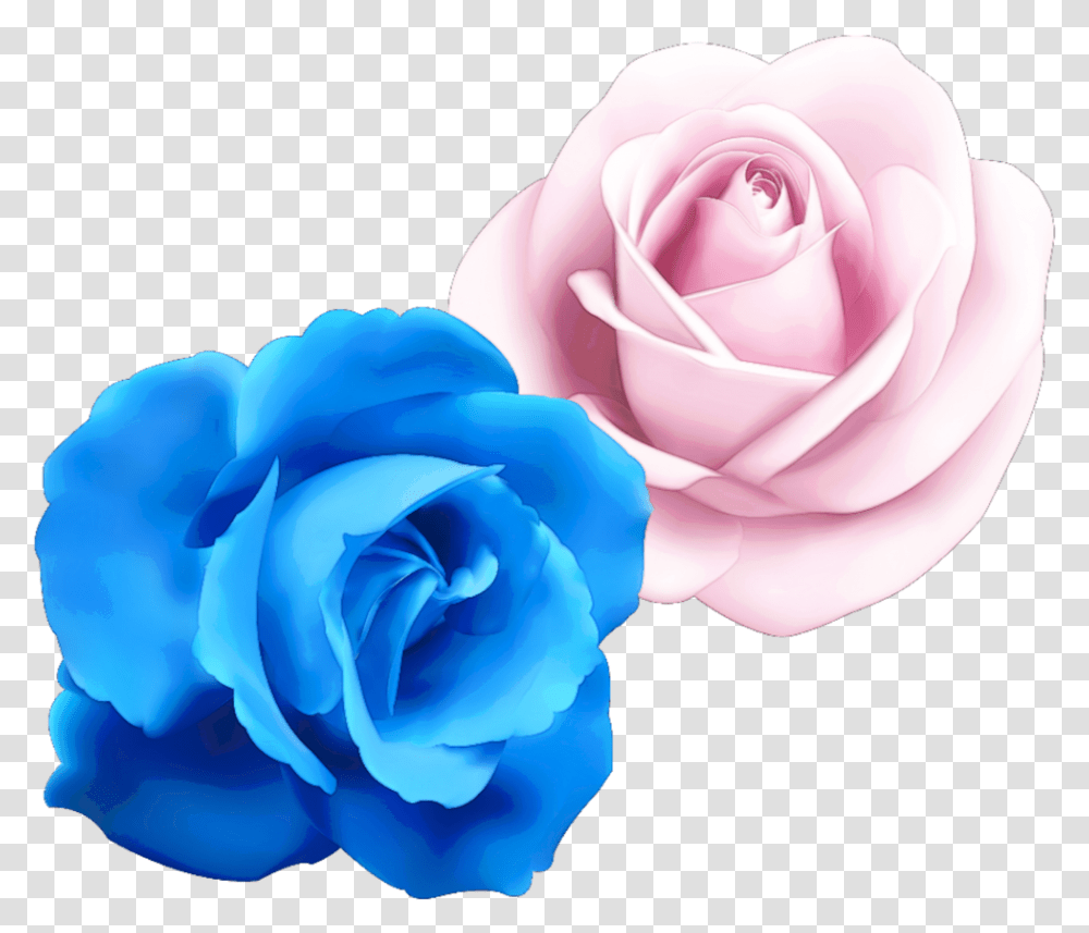 Rose Flower Cute Colorful Handpainted Watercolor Rose Blue, Plant, Blossom, Dahlia Transparent Png