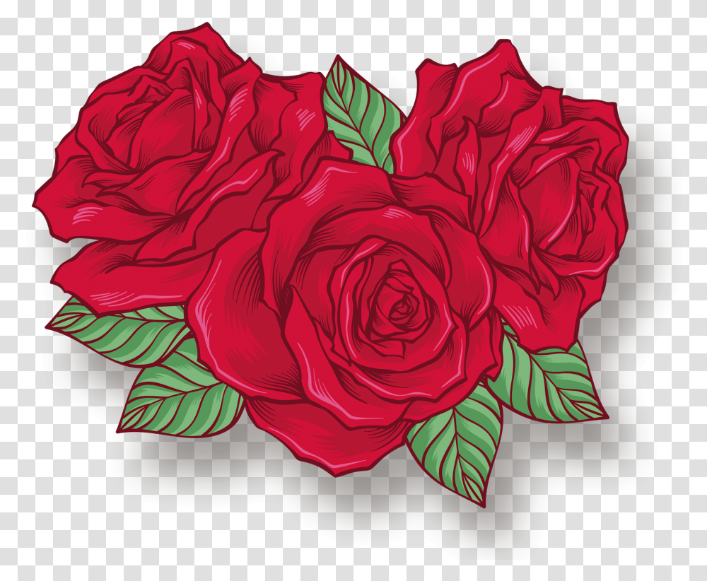 Rose Flower Decoration Rose Cartoon, Plant, Blossom, Carnation, Geranium Transparent Png