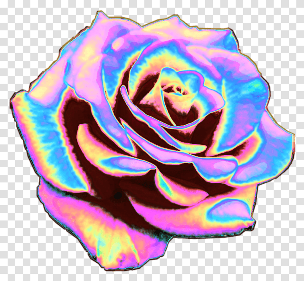 Rose Flower Flowers Holo Holographicrose Holo Rainbow Rose No Background, Plant, Blossom, Spiral, Coil Transparent Png