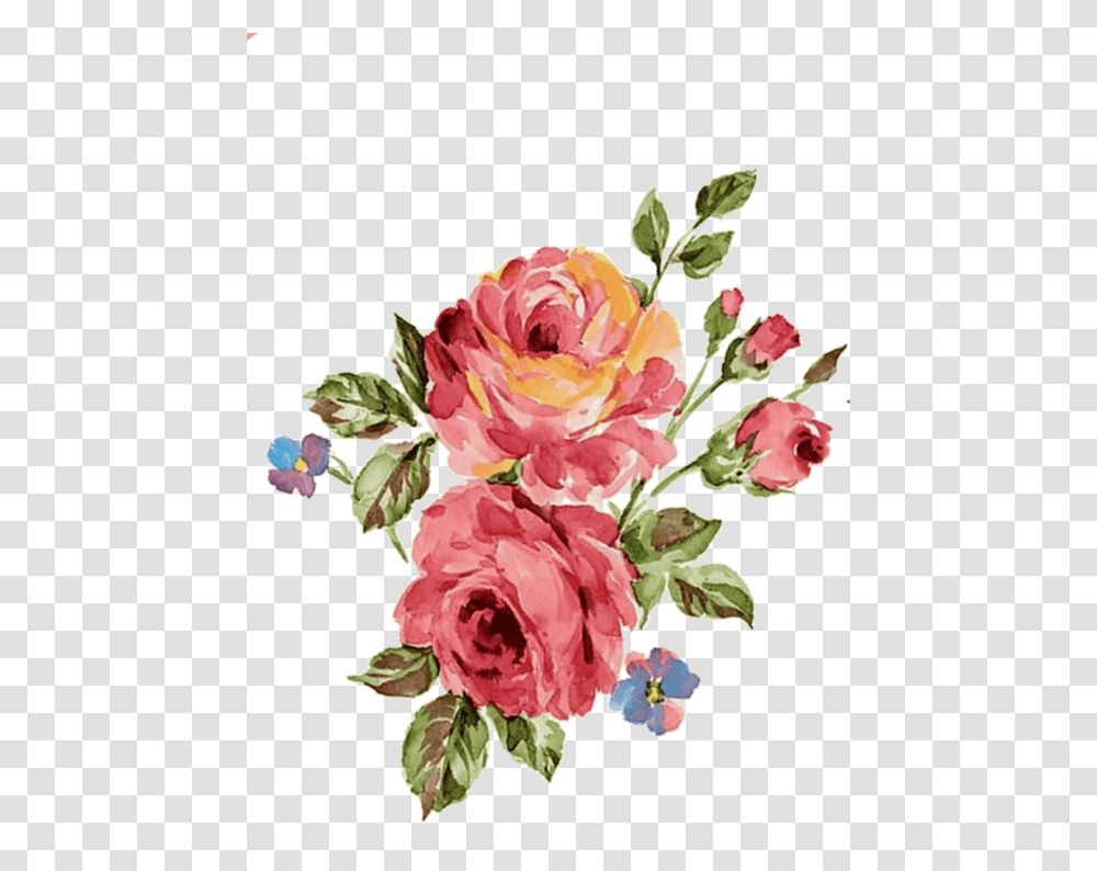 Rose Flower Flowers Watercolor Aquarella Draw Hd Wallpaper For Android Vintage Floral, Plant, Blossom Transparent Png