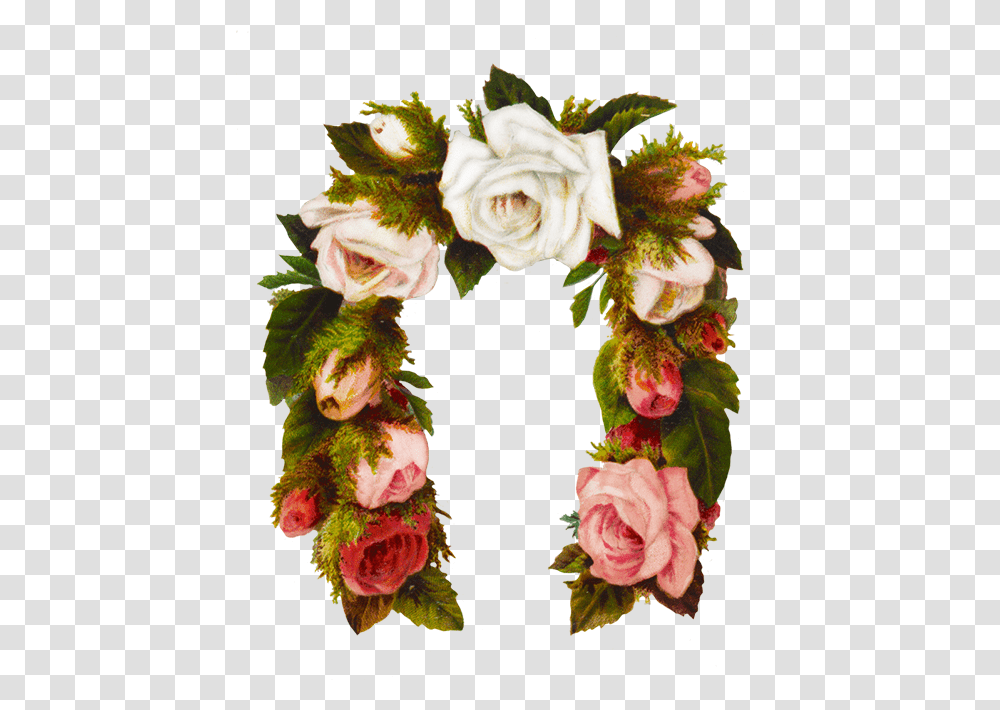 Rose Flower Frame Horse Shoe Shaped Rose, Plant, Blossom, Floral Design, Pattern Transparent Png