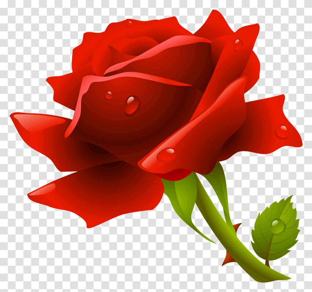 Rose Flower Icon Download Icon Rosen, Plant, Blossom, Petal Transparent Png