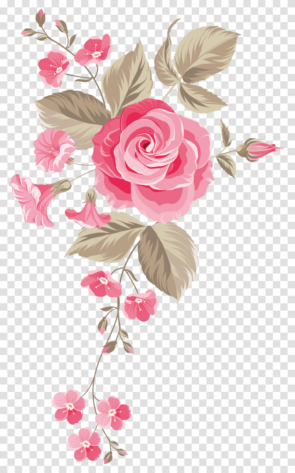 Rose Flower Image Free Download Searchpng Background Pink Roses, Plant, Blossom Transparent Png