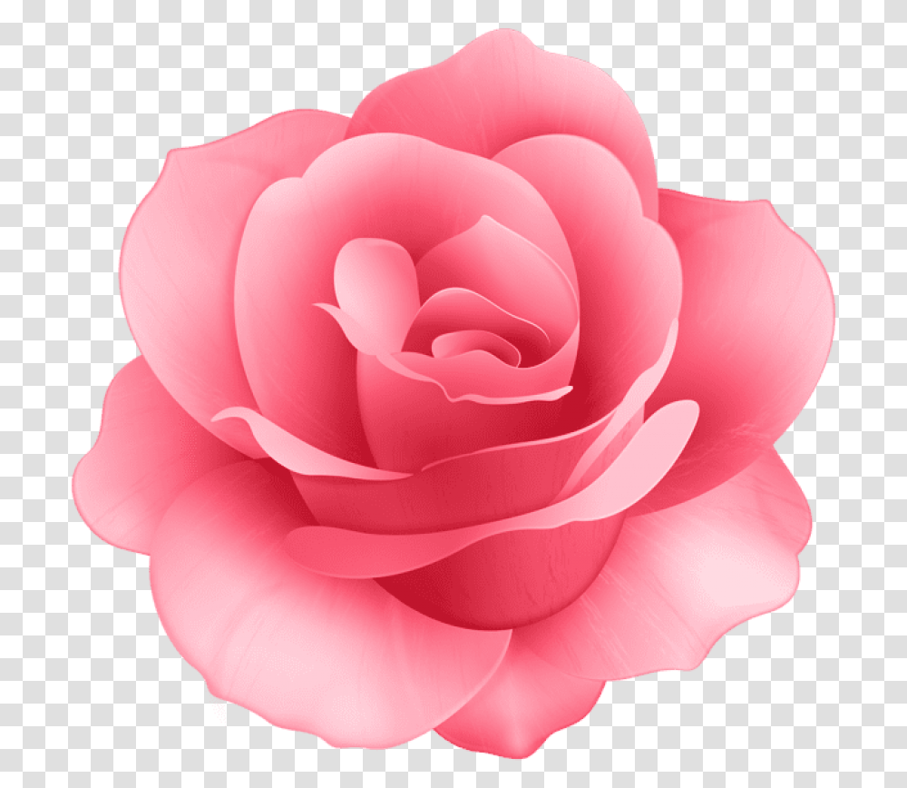 Rose Flower Images Background Background Pink Flower Clipart, Plant, Blossom, Dahlia Transparent Png