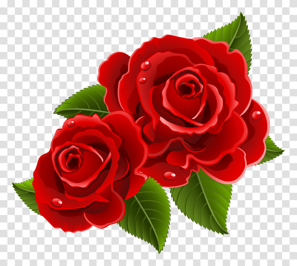 Rose Flower Images Free Download Beautiful Red Rose Flowers, Plant, Blossom, Petal Transparent Png
