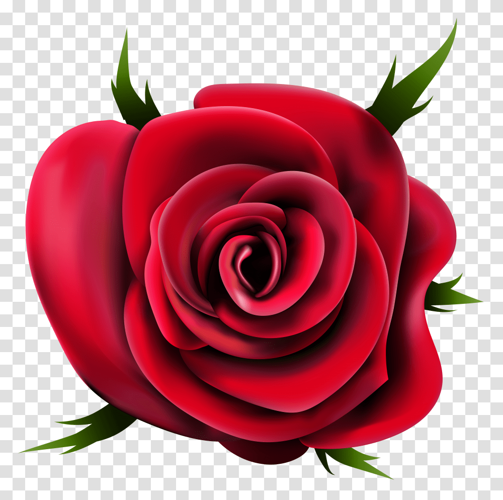Rose Flower Images Free Download Rose Flower Clip Art Transparent Png