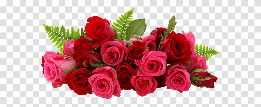 Rose Flower Images Free Download Rose, Plant, Flower Bouquet, Flower Arrangement, Blossom Transparent Png