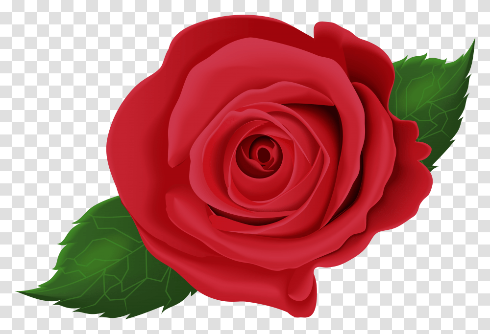 Rose Flower Leaf Clipart Rose With Leaves Transparent Png