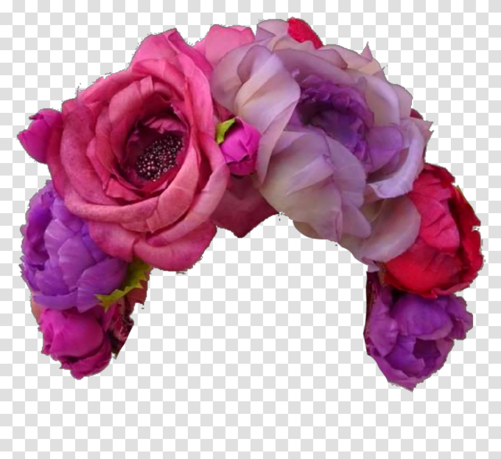 Rose Flower Nature Art Stickers Freetoedit Crown Hybrid Tea Rose, Plant, Blossom, Accessories, Accessory Transparent Png