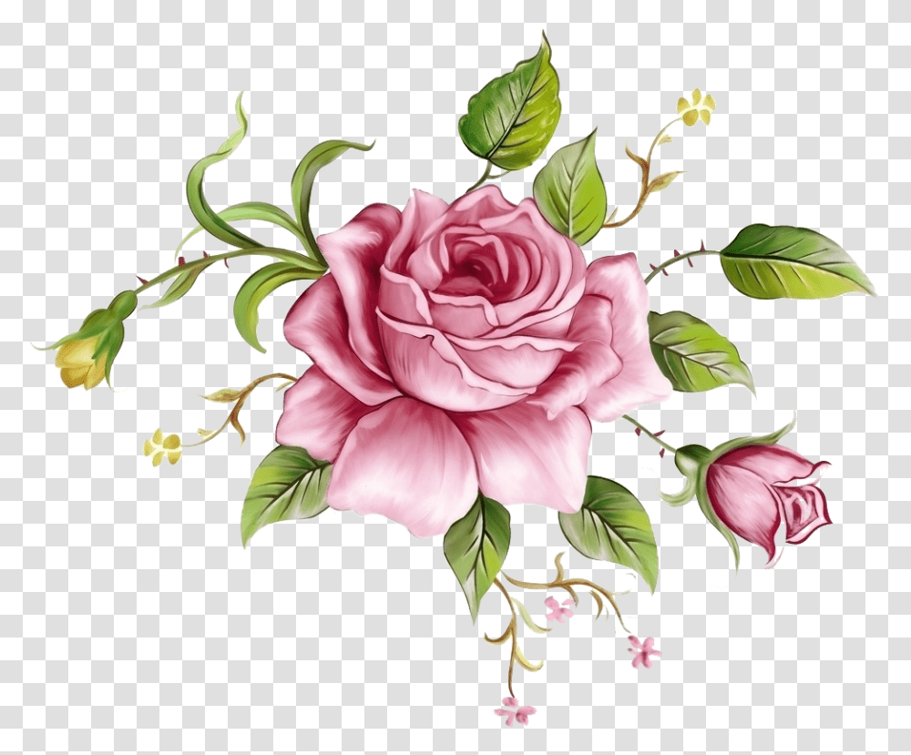 Rose Flower Painting, Plant, Blossom, Floral Design, Pattern Transparent Png