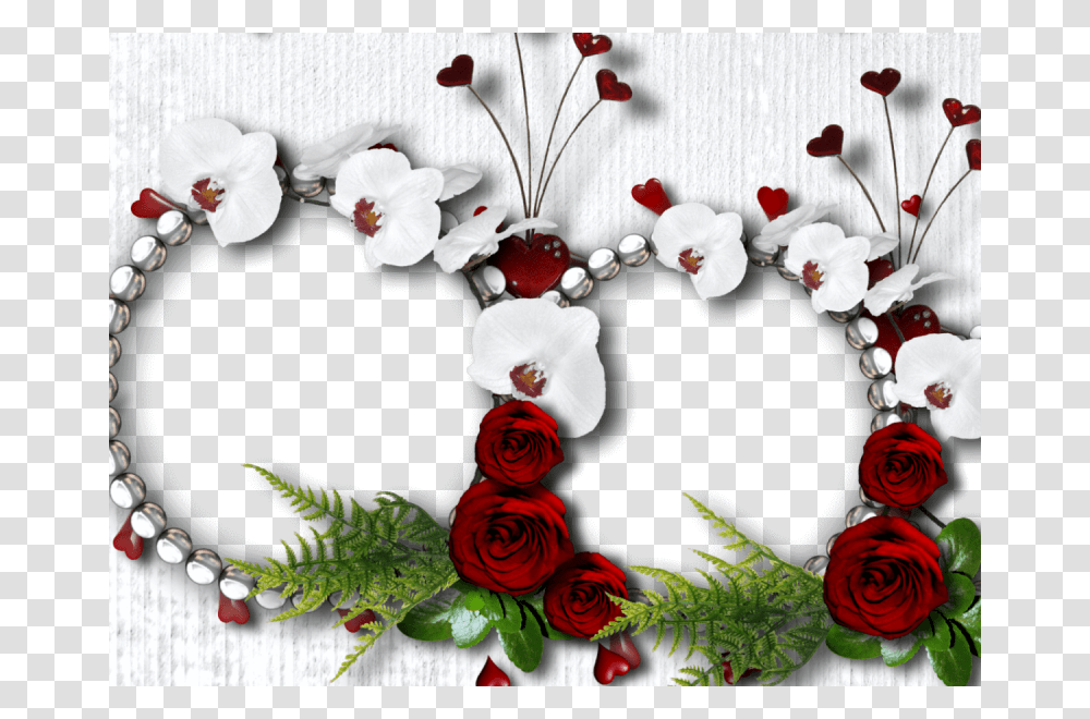 Rose Flower Photo Frame Downloading, Plant, Petal, Floral Design, Pattern Transparent Png