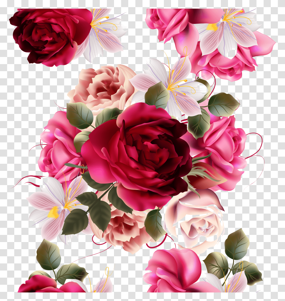 Rose Flower Photography Transparent Png
