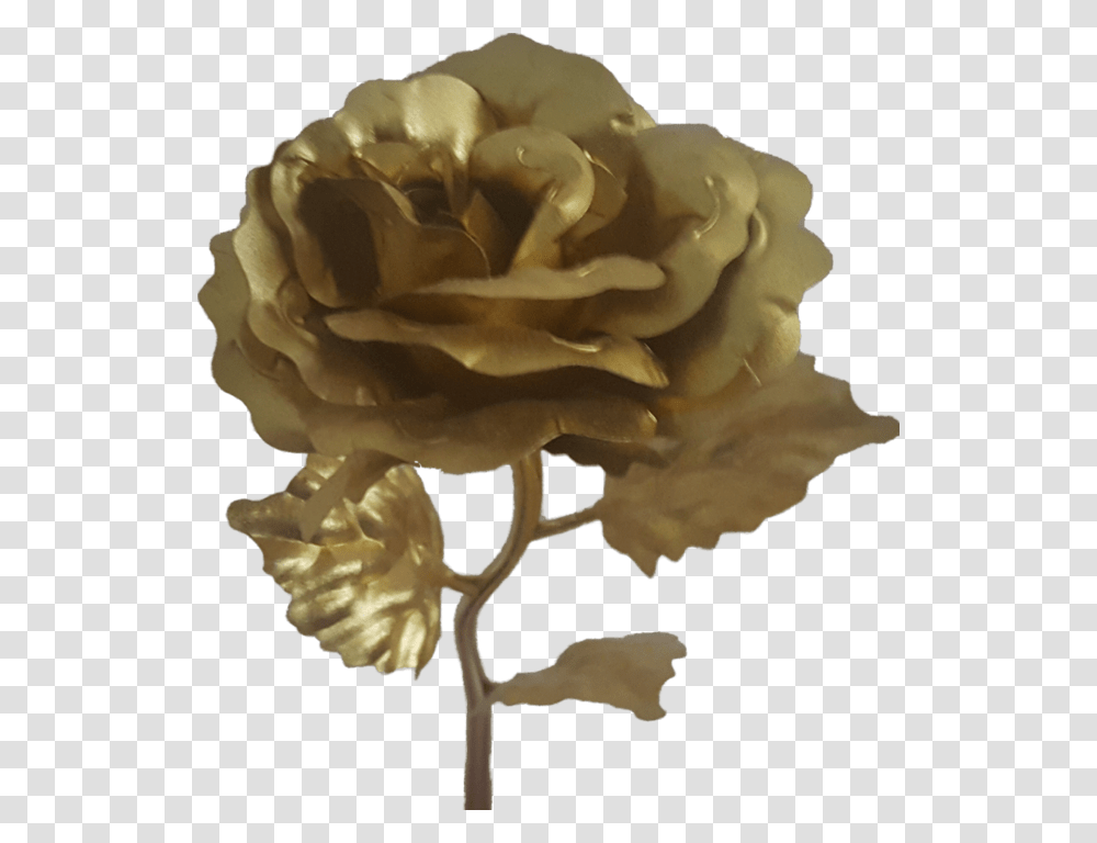 Rose, Flower, Plant, Blossom, Accessories Transparent Png