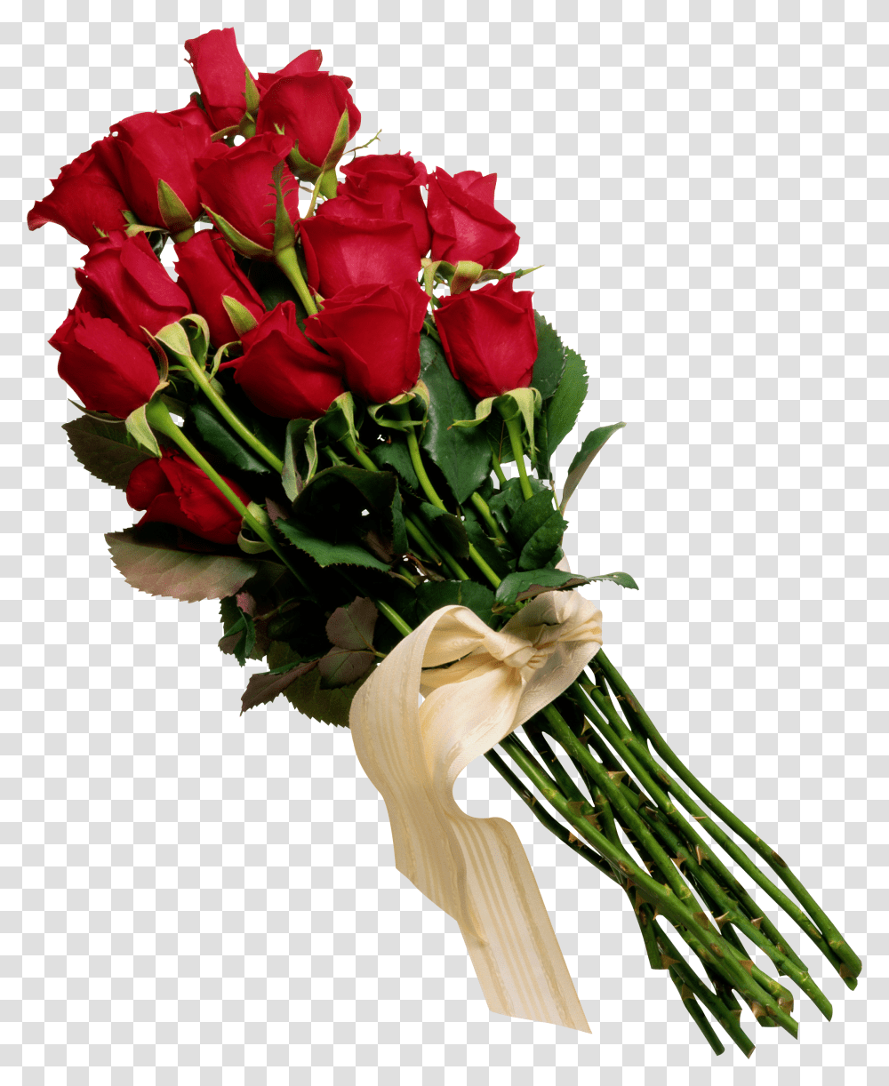 Rose, Flower, Plant, Blossom, Flower Bouquet Transparent Png