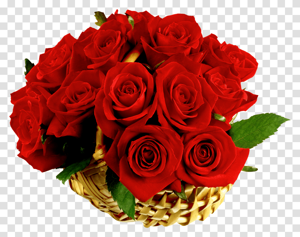 Rose, Flower, Plant, Blossom, Flower Bouquet Transparent Png