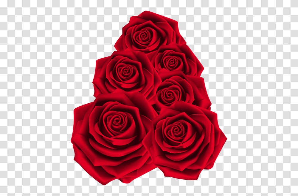 Rose, Flower, Plant, Blossom, Flower Bouquet Transparent Png