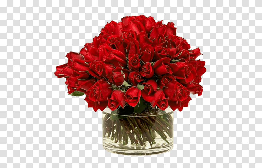 Rose, Flower, Plant, Blossom, Flower Bouquet Transparent Png