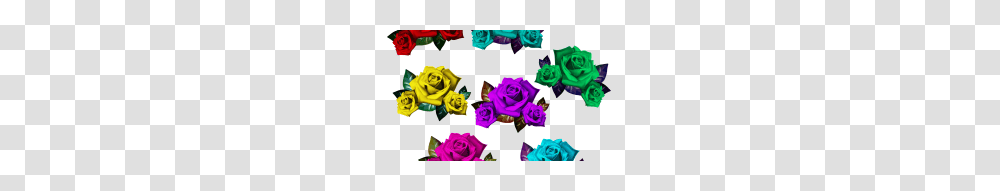 Rose, Flower, Plant, Blossom Transparent Png