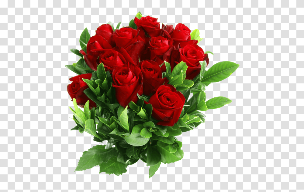 Rose, Flower, Plant, Flower Bouquet, Flower Arrangement Transparent Png