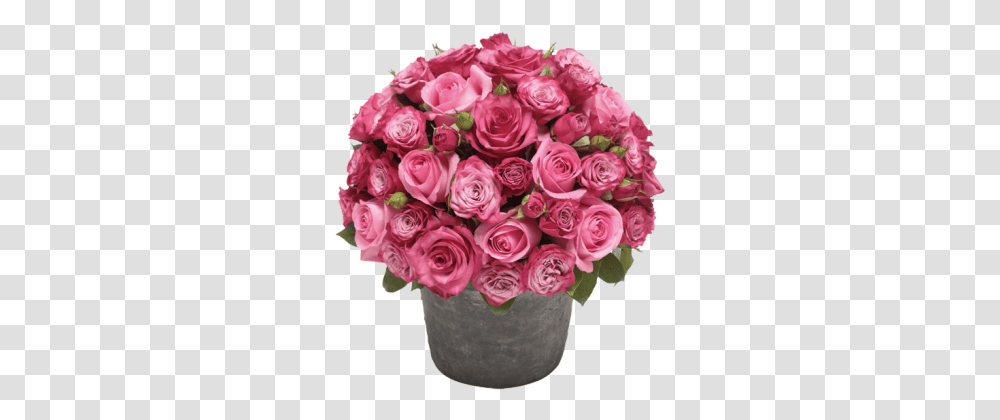 Rose Flower Pot Image Rose Flower Pot, Plant, Floral Design, Pattern, Graphics Transparent Png
