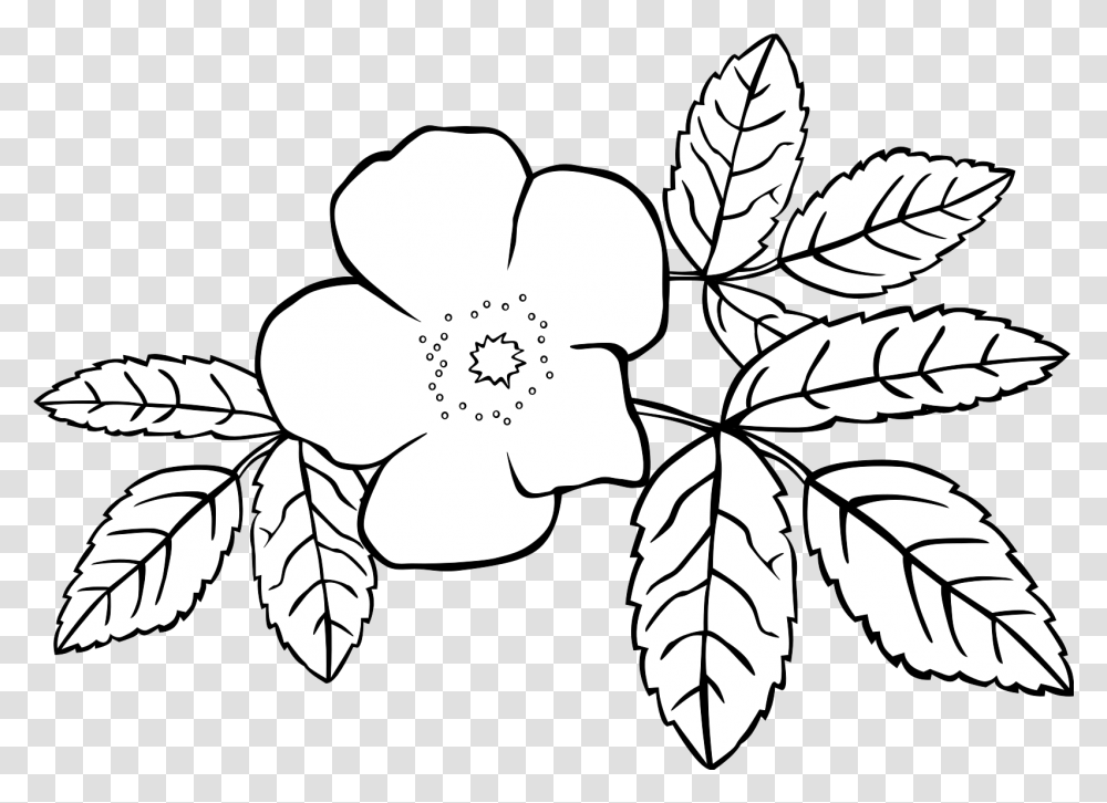 Rose Flower Svg Vector Clip Art Svg Clipart, Leaf, Plant, Stencil, Blossom Transparent Png