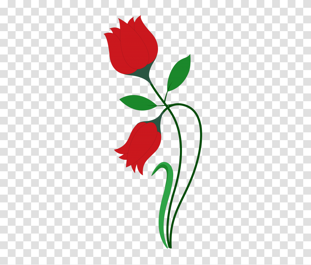 Rose Flower Vector, Green, Plant, Blossom Transparent Png