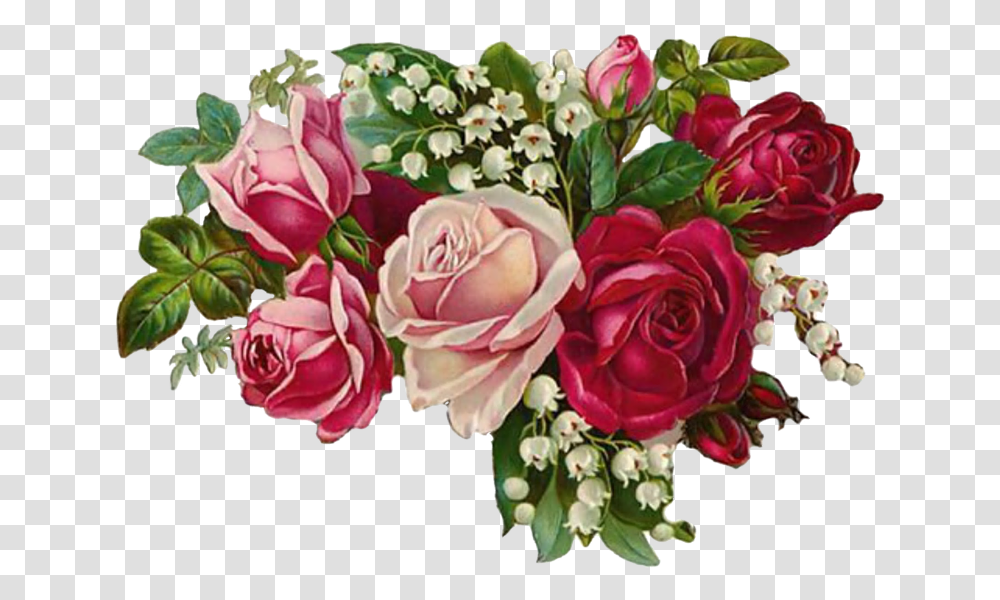 Rose Flower Vintage 1 Image Red And Pink Rose Hd, Plant, Floral Design, Pattern, Graphics Transparent Png