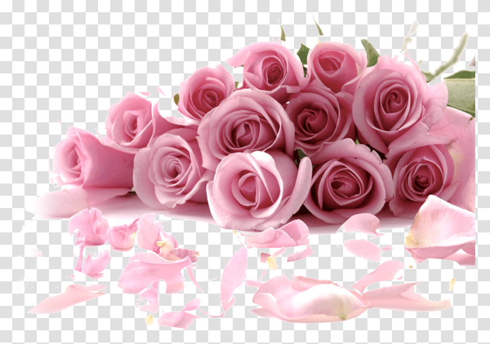 Rose Flower Wallpaper Rose Wallpaper Flowers, Plant, Blossom, Petal, Flower Bouquet Transparent Png