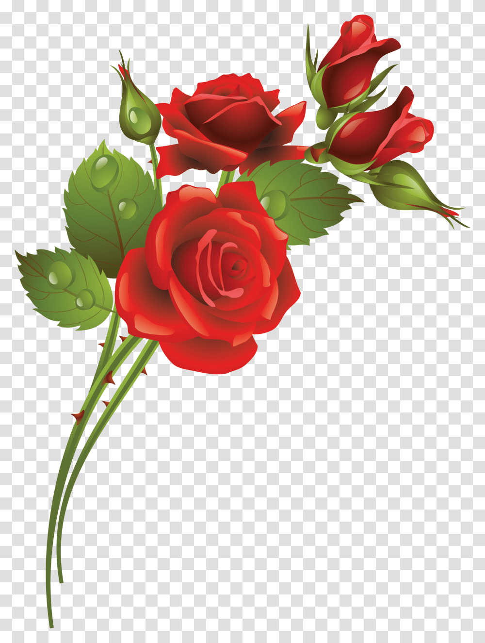 Rose Flowers In Art, Plant, Blossom, Petal Transparent Png
