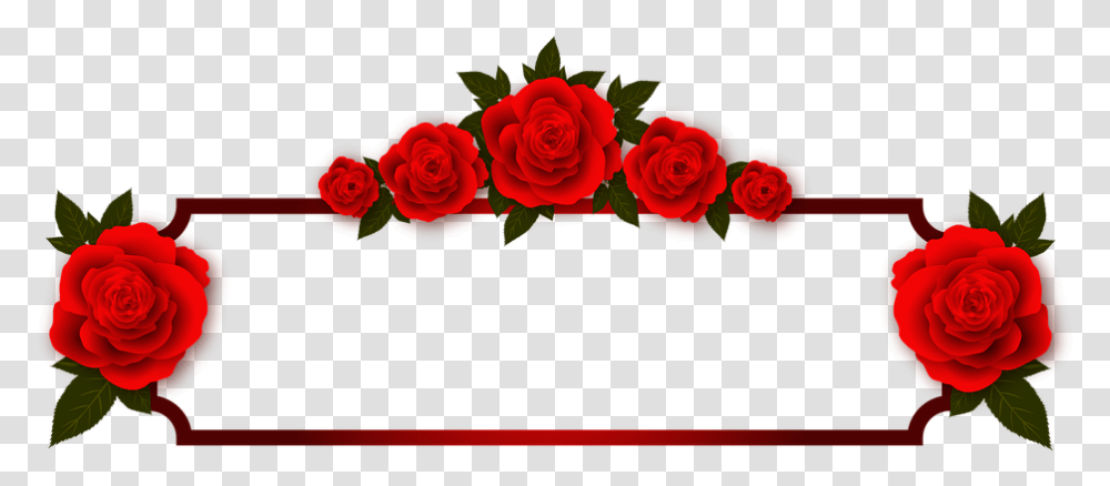 Rose Flowers Plate Frame Photo Frame Red Good Morning Special Person, Plant, Blossom, Petal Transparent Png