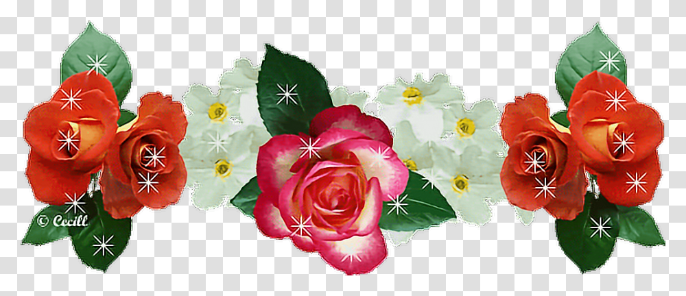 Rose Flowers Snapchat Crown Gif Blestyashie Cveti Animaciya, Plant, Blossom, Petal, Geranium Transparent Png