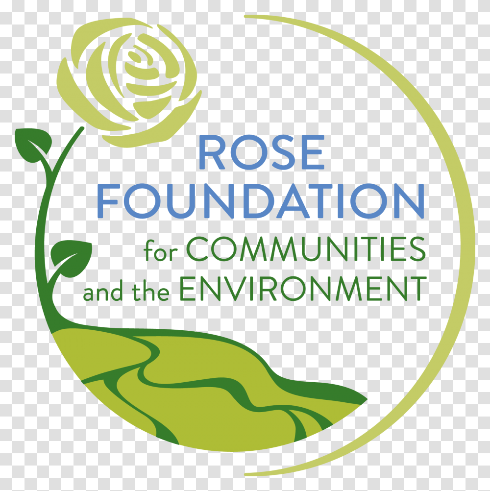 Rose Foundation, Label, Plant, Vase Transparent Png