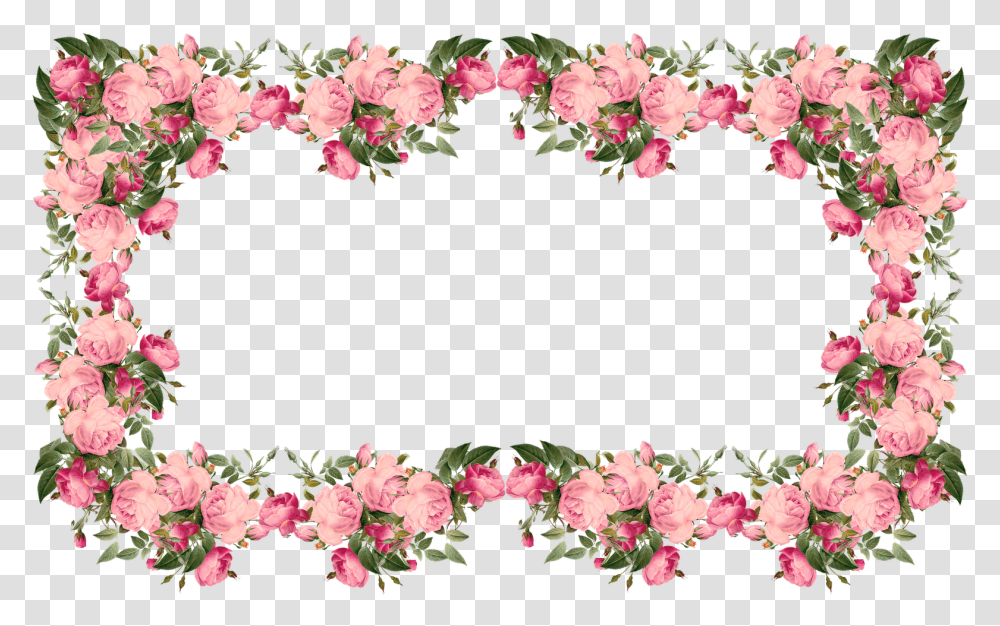 Rose Frame Border Flowers Clipart, Plant, Geranium, Petal, Floral Design Transparent Png
