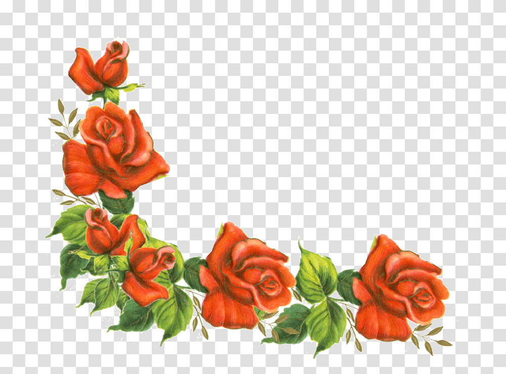 Rose Frame Clipart, Floral Design, Pattern, Plant Transparent Png