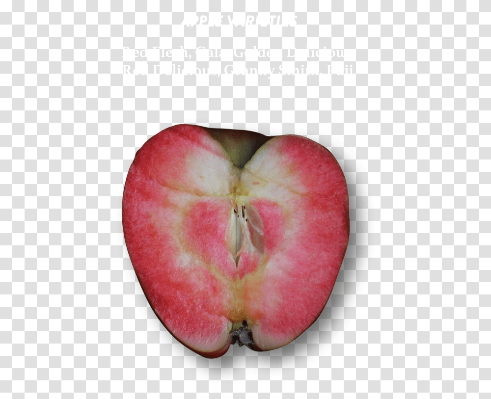 Rose French Red Flesh Apples, Fruit, Plant, Food, Peach Transparent Png