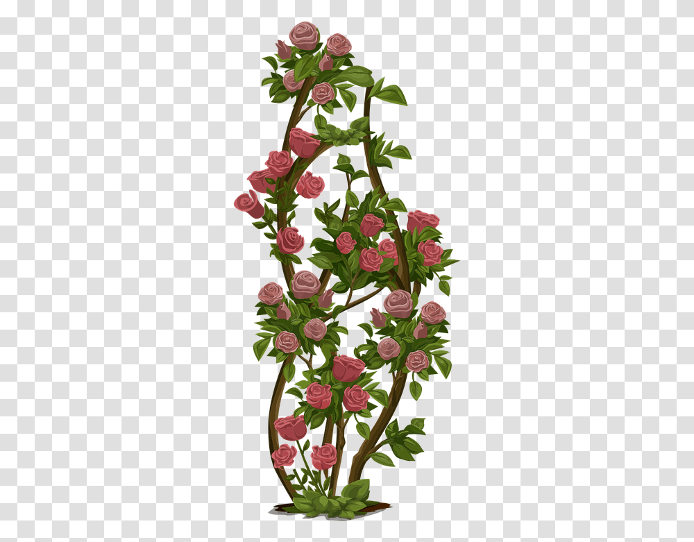 Rose Garden Rose Tree, Graphics, Art, Floral Design, Pattern Transparent Png